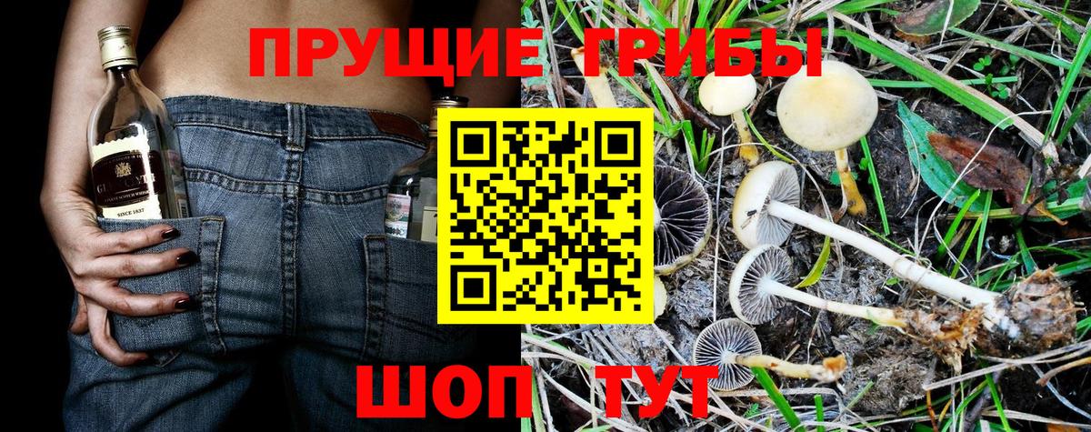 Псилоцибиновые грибы Cubensis  Вход с VPN  Борисоглебск  Псилоцибиновые грибы MAGIC MUSHROOMS 